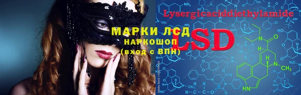 ПСИЛОЦИБИНОВЫЕ ГРИБЫ Лагань