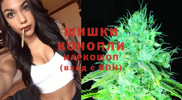 ПСИЛОЦИБИНОВЫЕ ГРИБЫ Лагань