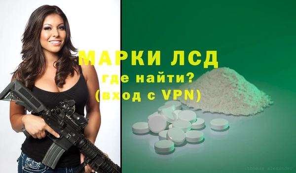 ПСИЛОЦИБИНОВЫЕ ГРИБЫ Лагань