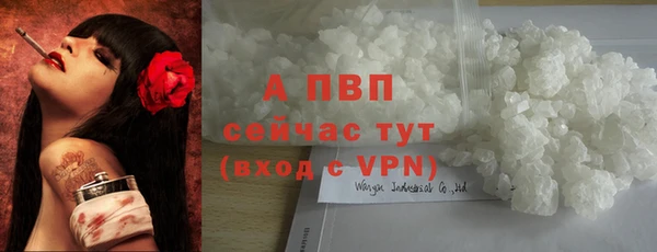 не бодяженный Ладушкин