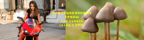 не бодяженный Ладушкин
