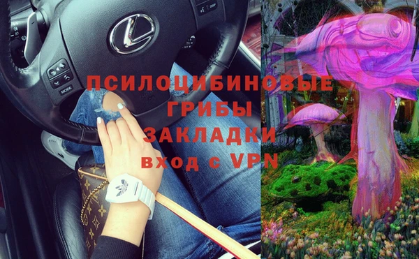 ПСИЛОЦИБИНОВЫЕ ГРИБЫ Лагань