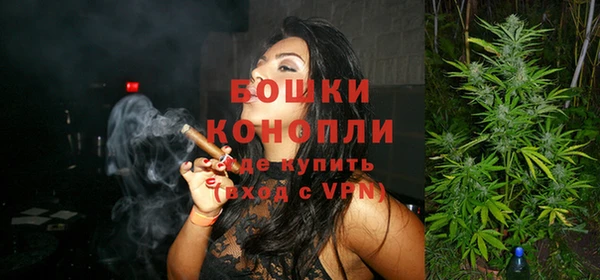 ПСИЛОЦИБИНОВЫЕ ГРИБЫ Лагань
