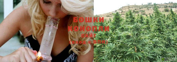 PSILOCYBIN Лабытнанги