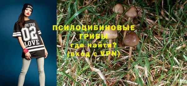 PSILOCYBIN Лабытнанги