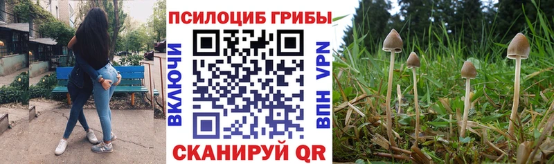 Псилоцибиновые грибы мицелий  где можно купить наркотик  KRAKEN вход  Людиново 